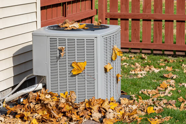 Best Air Quality Test  in Dover, TN