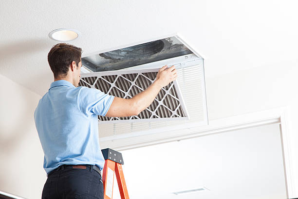 Best Local HVAC Companies  in Dover, TN